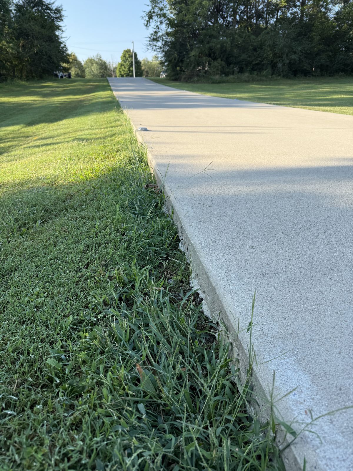 New concrete driveway edge standing above the yard after forms were pulled &mdash; Greenbrier TN, before grade-out