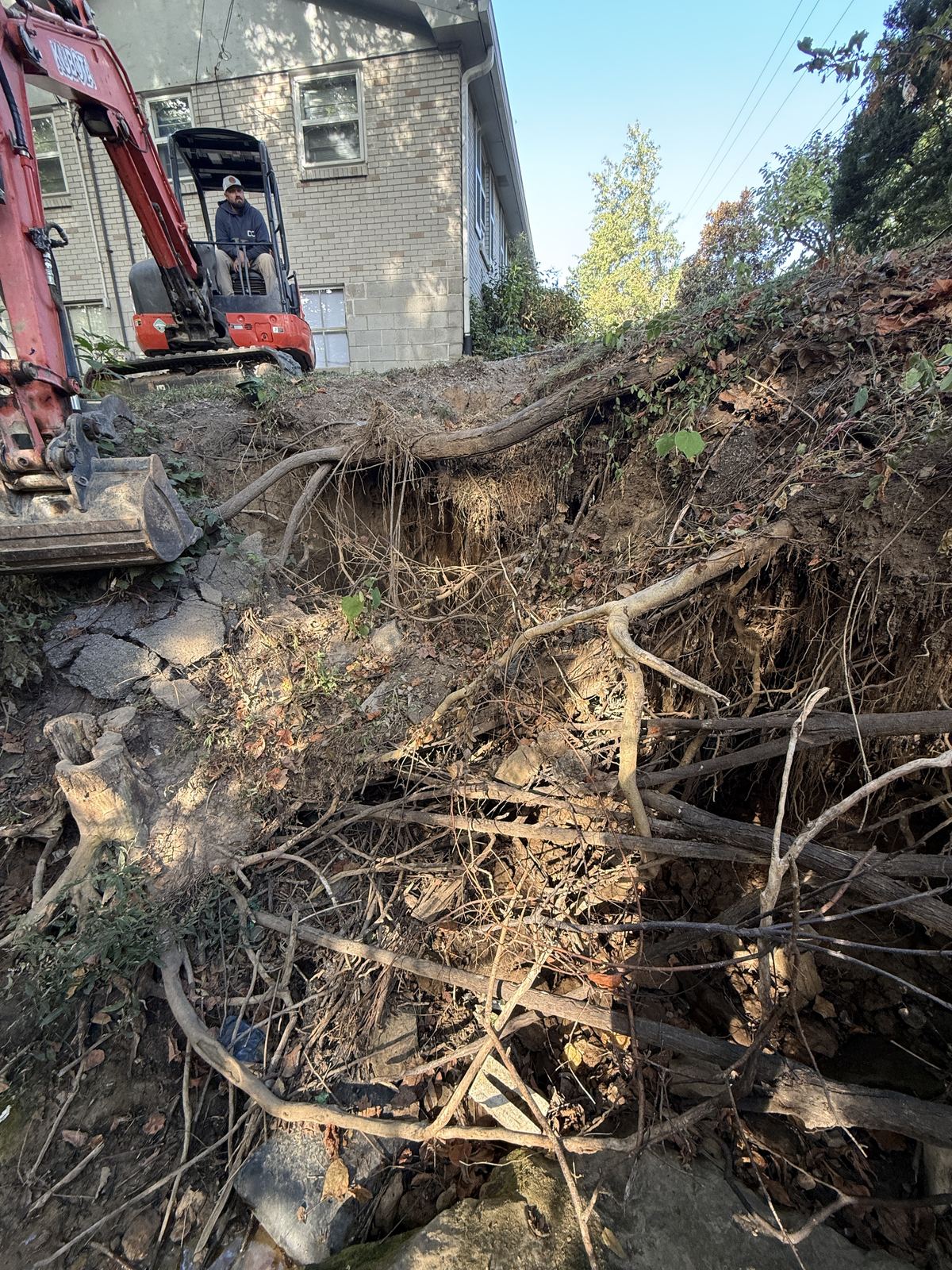 Mini excavator cleaning out an eroded creek bank with exposed tree roots &mdash; Nashville TN